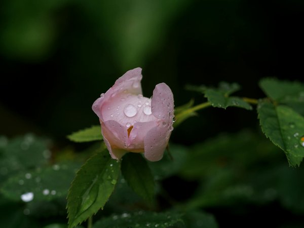 Caméras ip hikvision : sécurisez votre espace efficacement