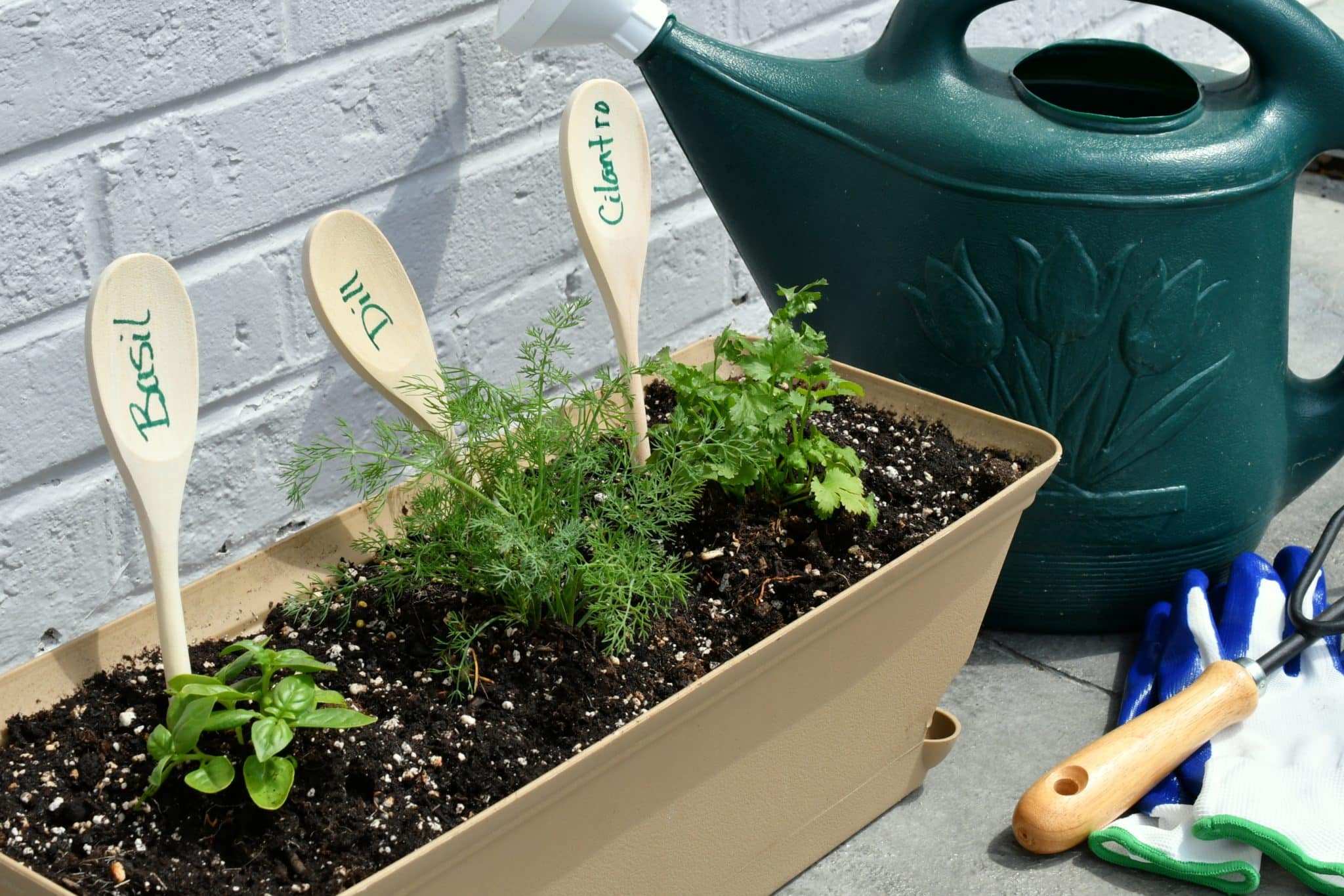 Bac potager : prenez votre temps pour le choisir